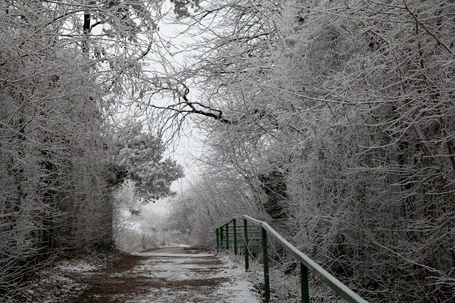 Perchtoldsdorfer Heide