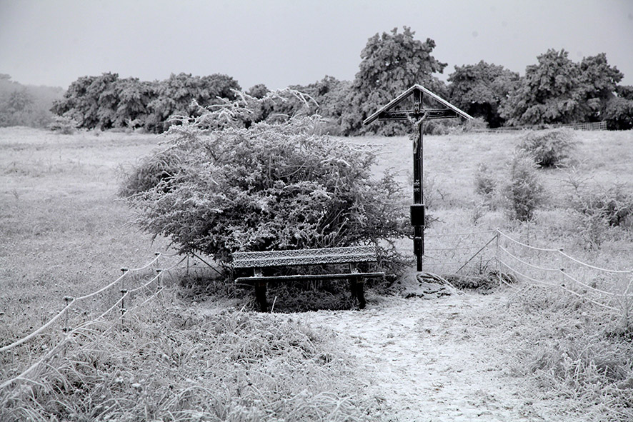 Perchtoldsdorfer Heide