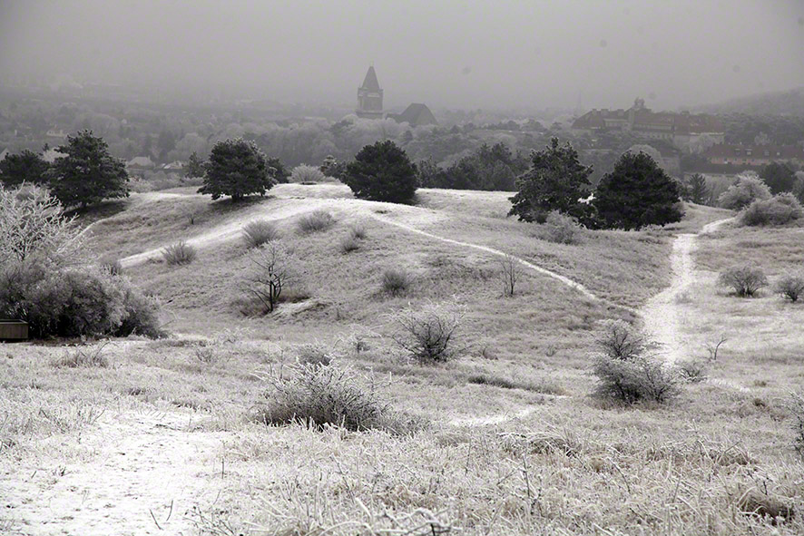 Perchtoldsdorfer Heide