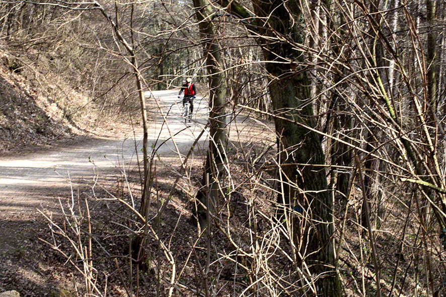 Föhrenberge, Weg