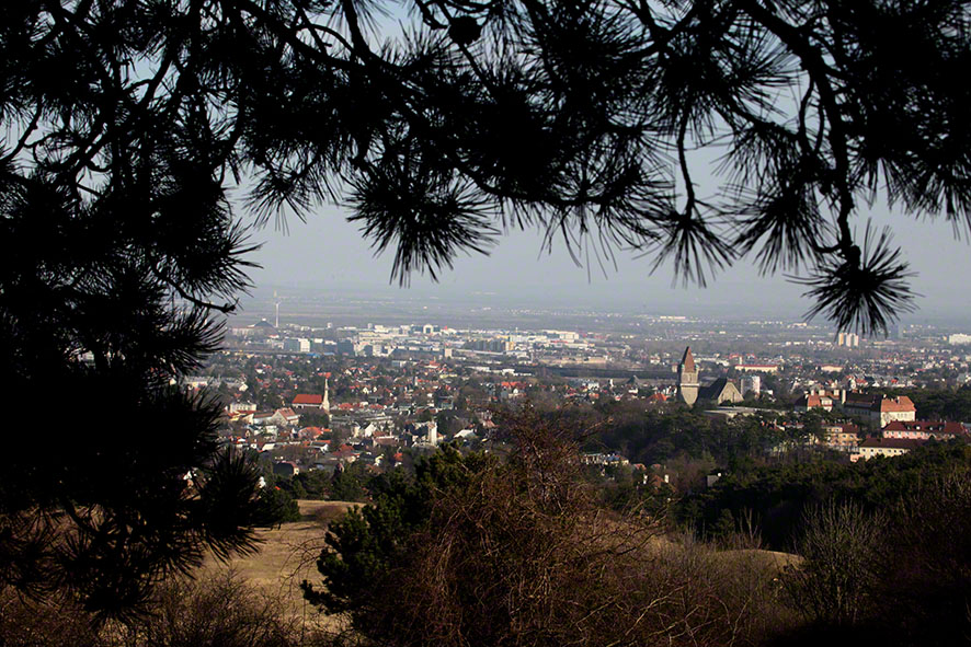 Blick auf Perchtoldsdorf