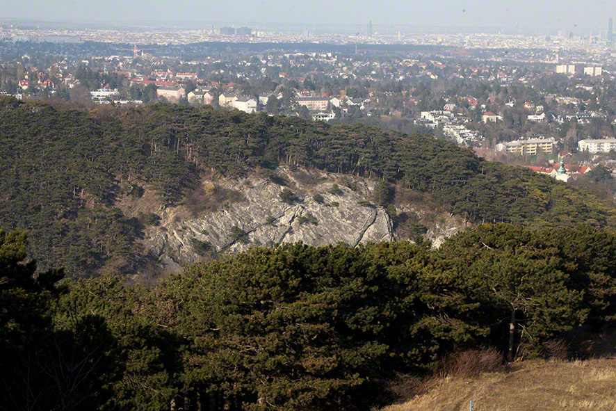 Blick auf Felswand