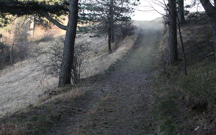 Weg in die Senke