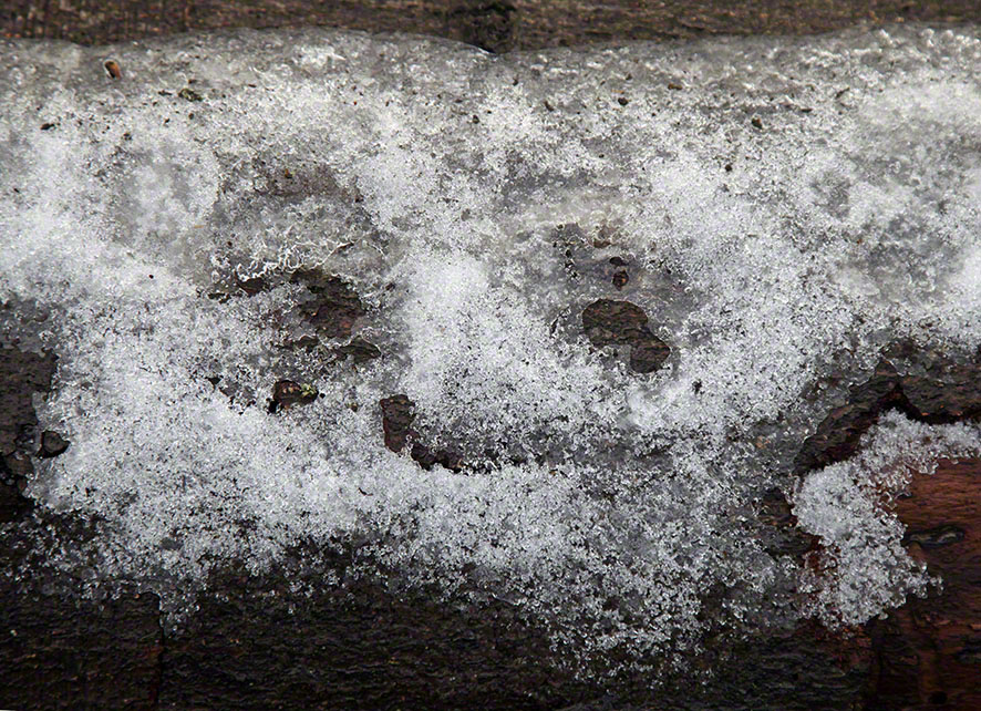 Eisgesicht auf einem Baumstamm