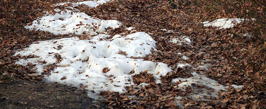 Wienerwald Weg im Winter