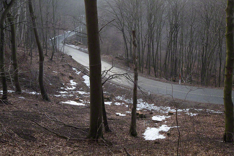 Höhenstraße im Wienerwald