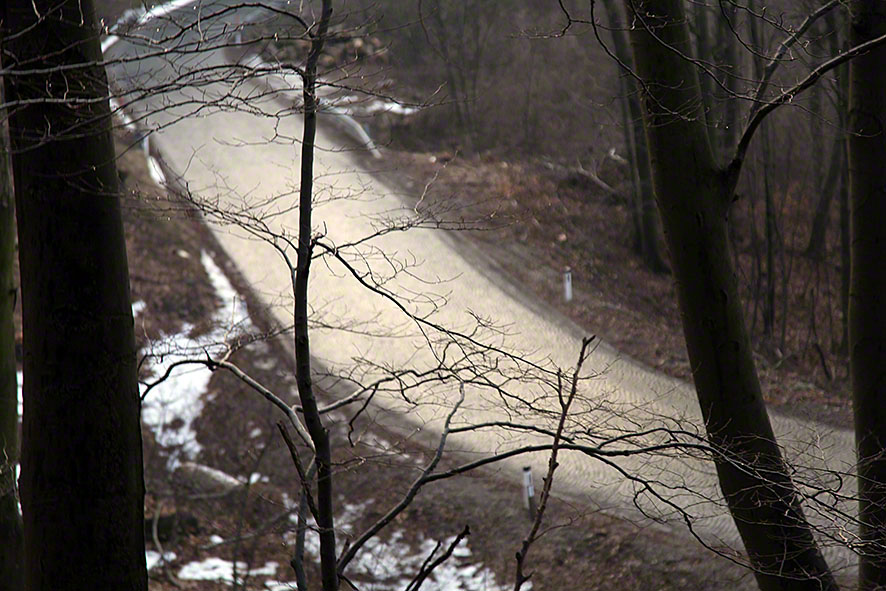 Höhenstraße im Wienerwald