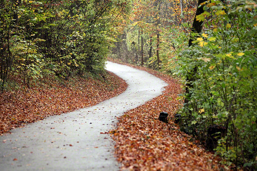 Weg Rohrerwiese-Jägerwiese