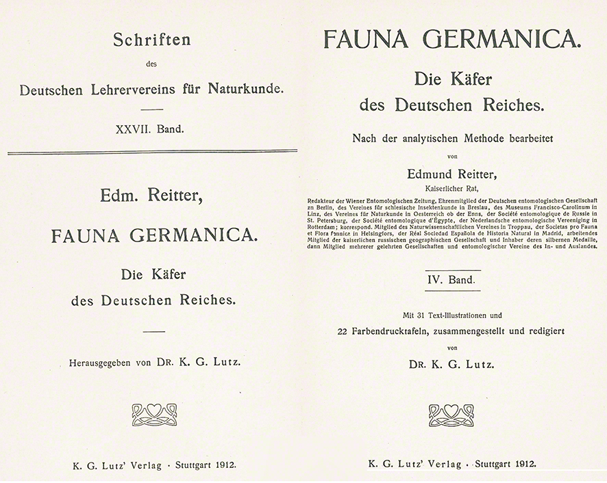 Kleiner Eichenbockkäfer