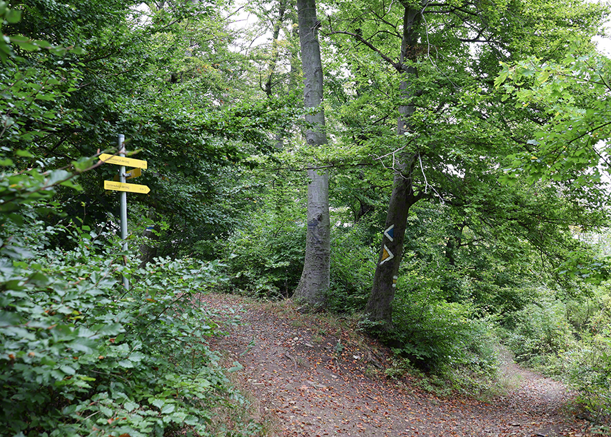 Weggabelung