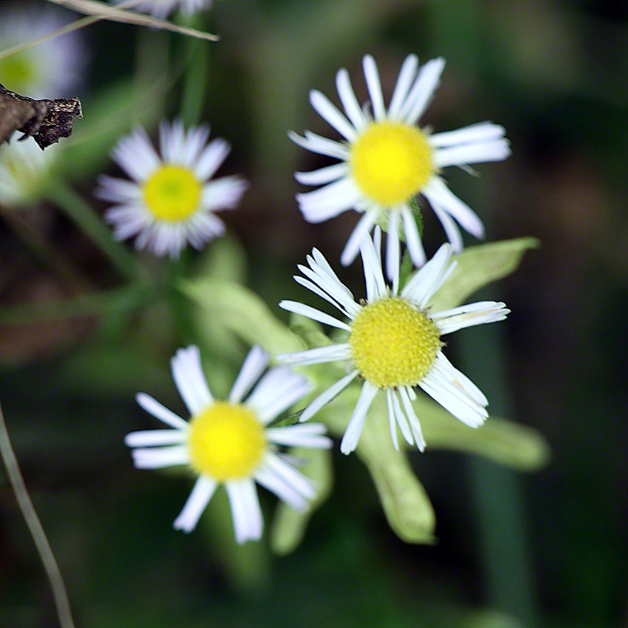 Herbstwanderung Wienerwald