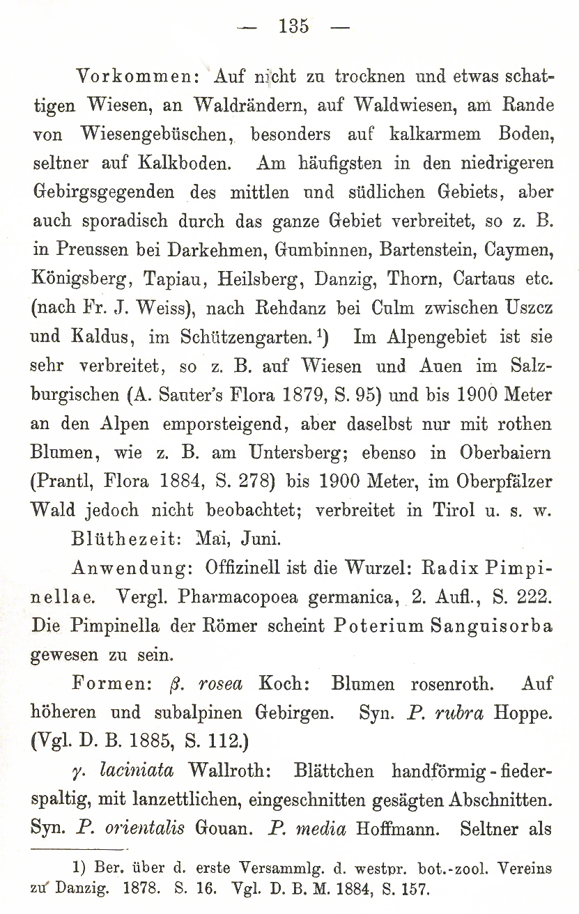 Schlechtendal