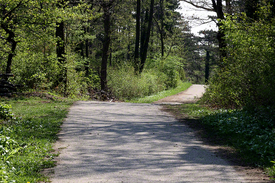 Richardshof-Gumpoldskirchen