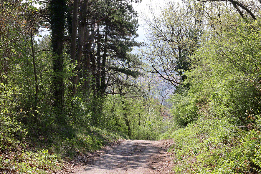 Richardshof-Gumpoldskirchen