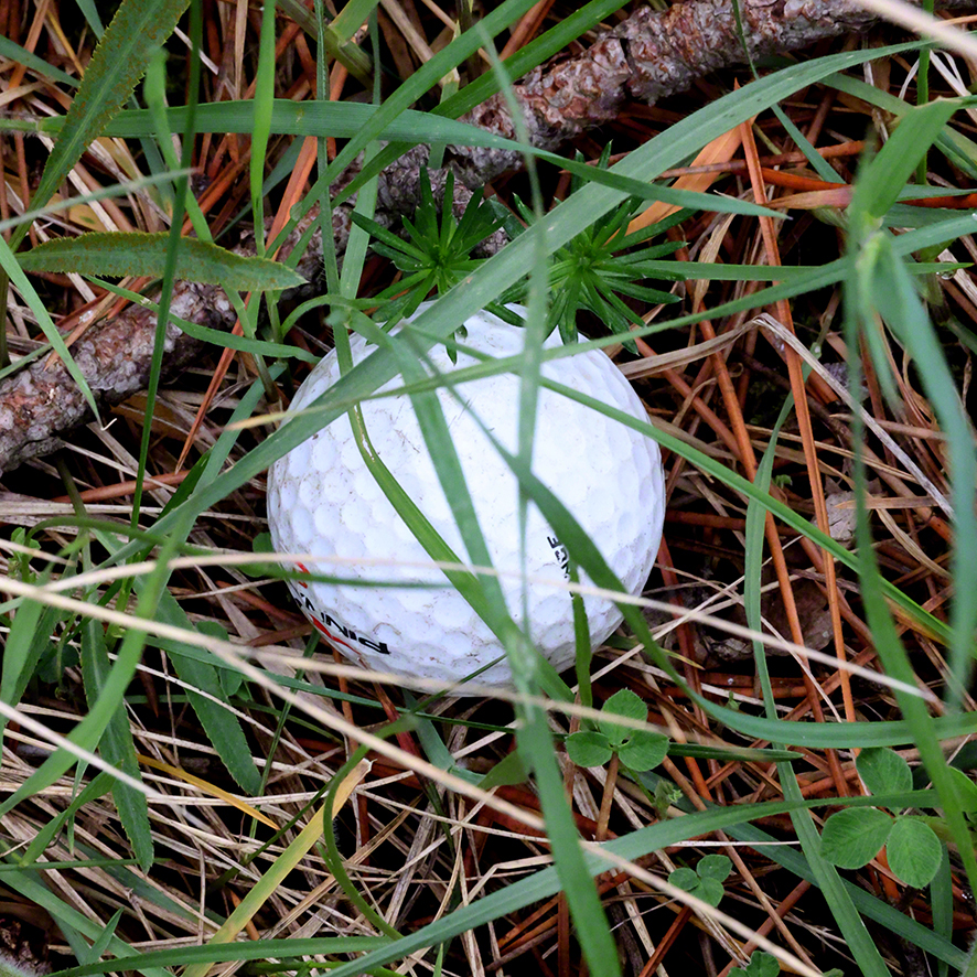 Richardshof-Gumpoldskirchen Golfball