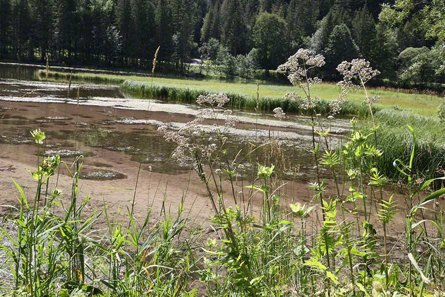 Dürrsee