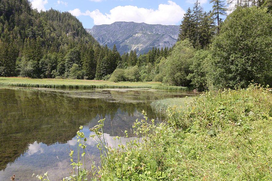 Dürrsee bei Seewiesen