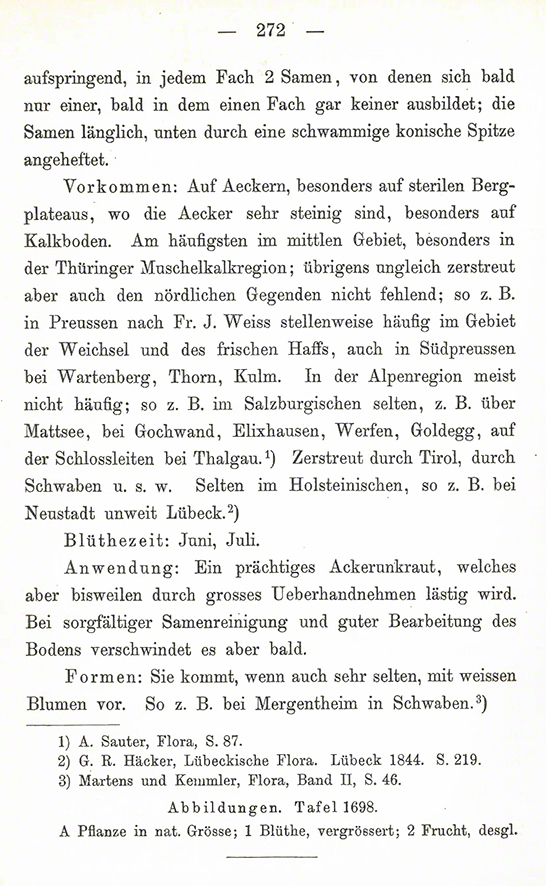 Ackerwachtelweizen