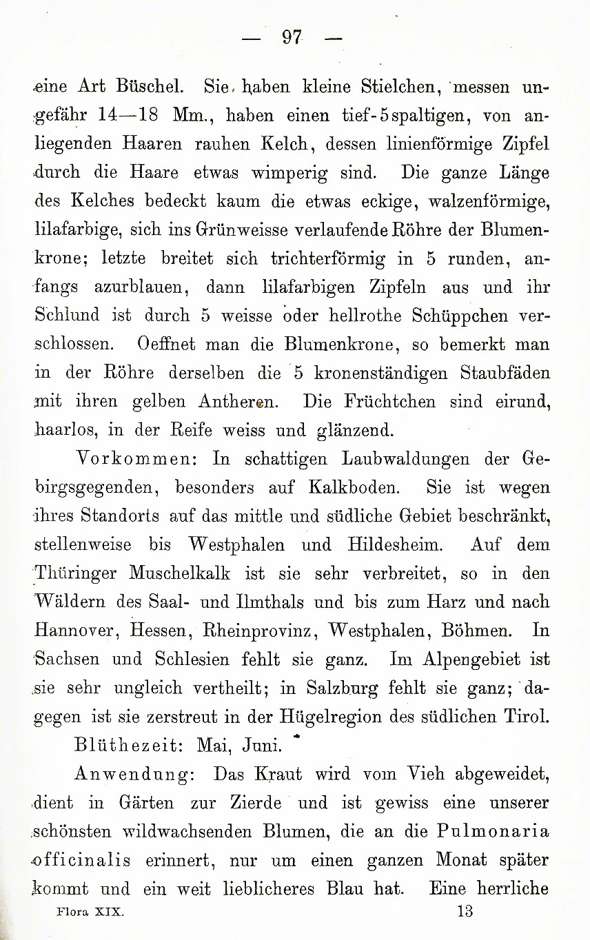 Steinsame