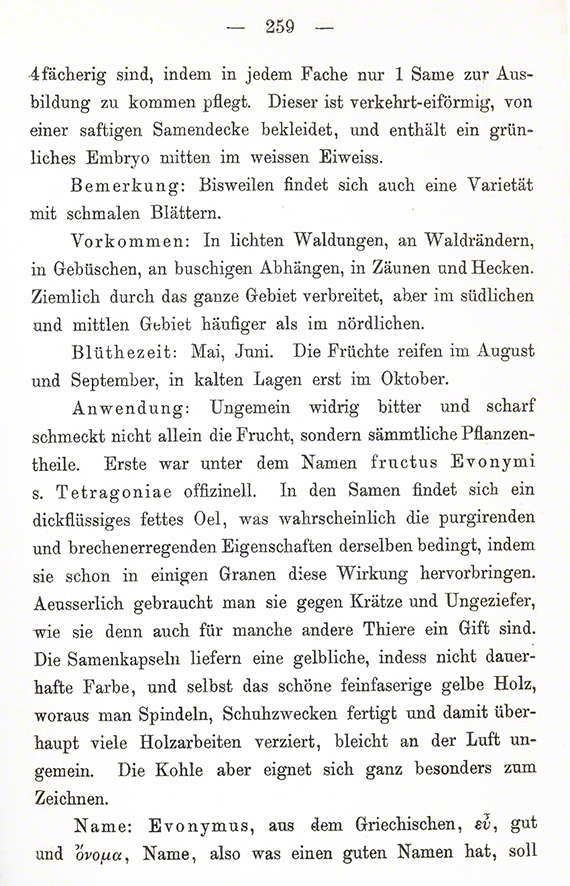 Schlechtendal-Langethal-Schenk: Flora von Deutschland, 5. Auflage (verbessert von Hallier),
Gera-Unternhaus, 30 Bände 1880-1887, Band 17, Taf. 1698, Text S. 270-272