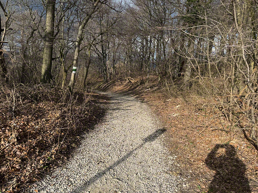 Weg zur Eichenmistel