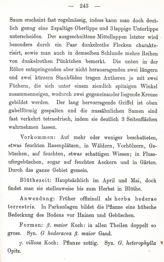 Gundermann