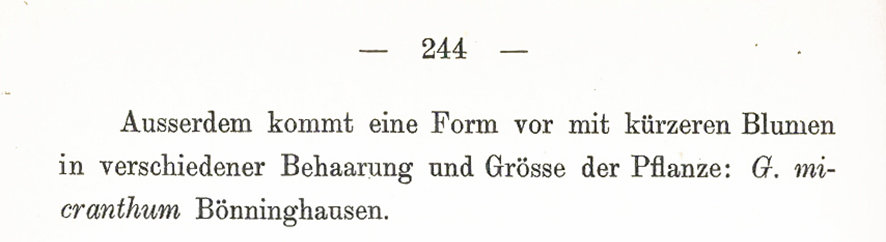Gundermann