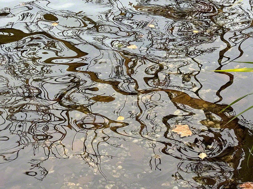 Spiegelung
