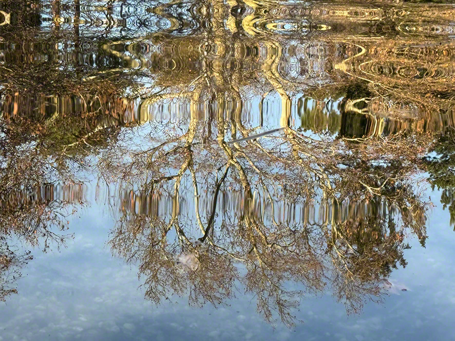 Spiegelung