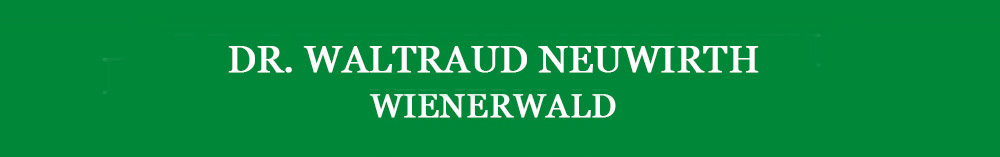 Hier Logo einfügen