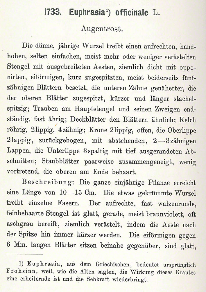 Augentrost
