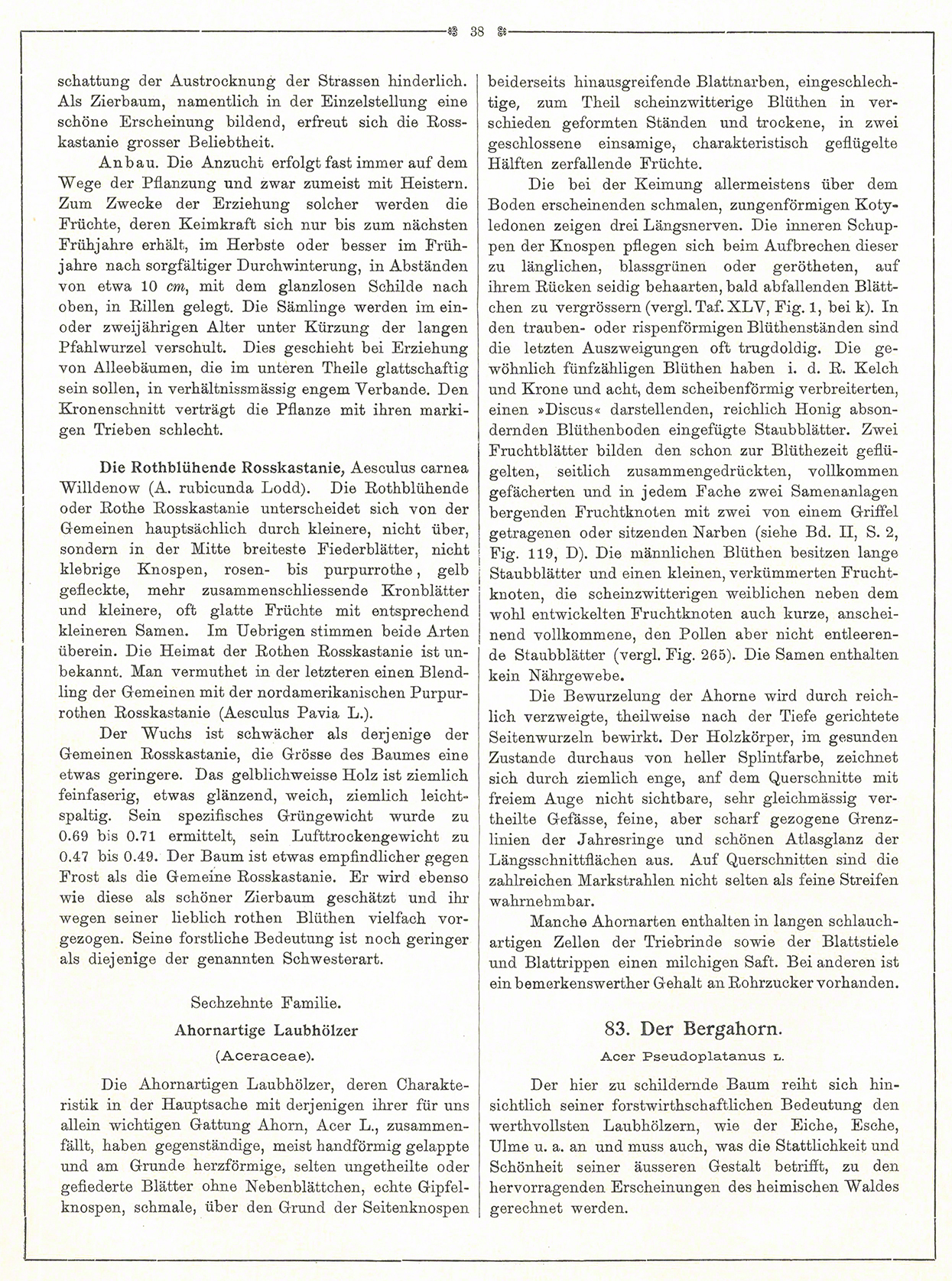 Hempel Rosskastanie